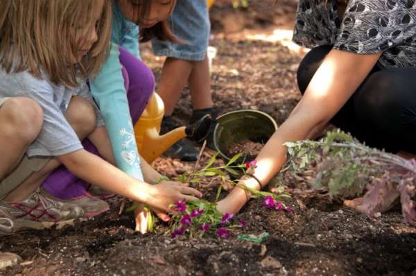 Id Es G Niales Pour Jardiner Avec Les Enfants Guide Astuces