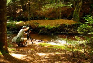 Conseils pour réussir vos photos de plein-air