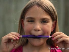 Harmonica avec des bâtonnets de glace