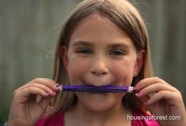 Harmonica avec des bâtonnets de glace