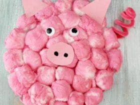 Petit cochon avec des boules de coton