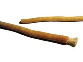 Bienfaits et utilisation du Siwak