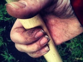 Enlever la terre sous les ongles après avoir jardiné