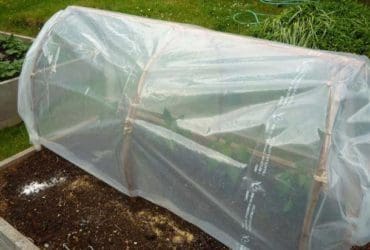 Fabriquer une serre tunnel pas chère pour le jardin