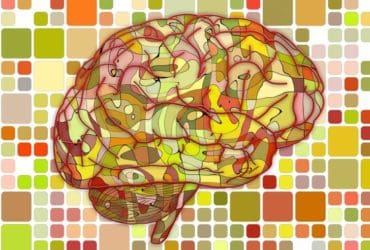 Les meilleurs aliments pour le cerveau