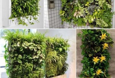 Astuces pour créer votre jardin vertical intérieur