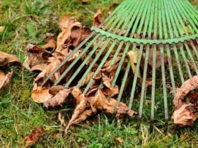 Liste des travaux d'automne à faire au jardin