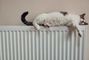 Où placer le radiateur pour faire des économies ?