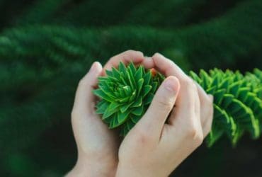 Les erreurs courantes à éviter lors du jardinage pour ce printemps