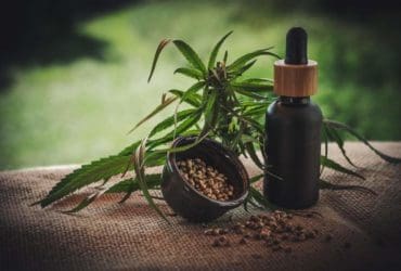 Graines de cannabis : les avantages pour la santé