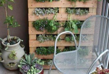 DIY jardin vertical avec des palettes