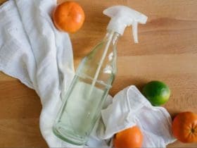 Spray nettoyant facile et naturel DIY