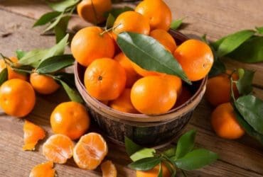 Ces 5 pouvoirs magiques de la mandarine sur l’organisme