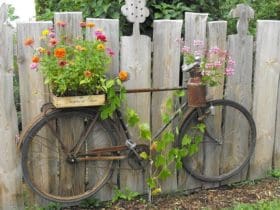 Vélo jardinière