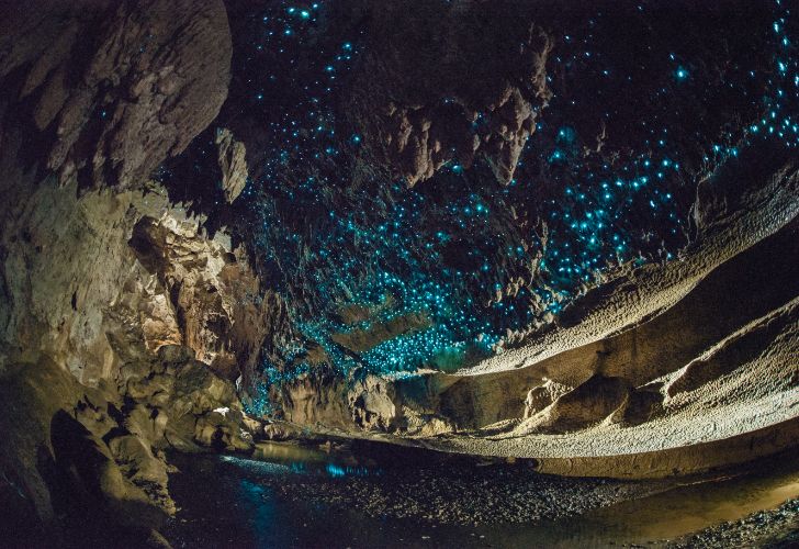 Grottes de Waitomo, Nouvelle-Zélande